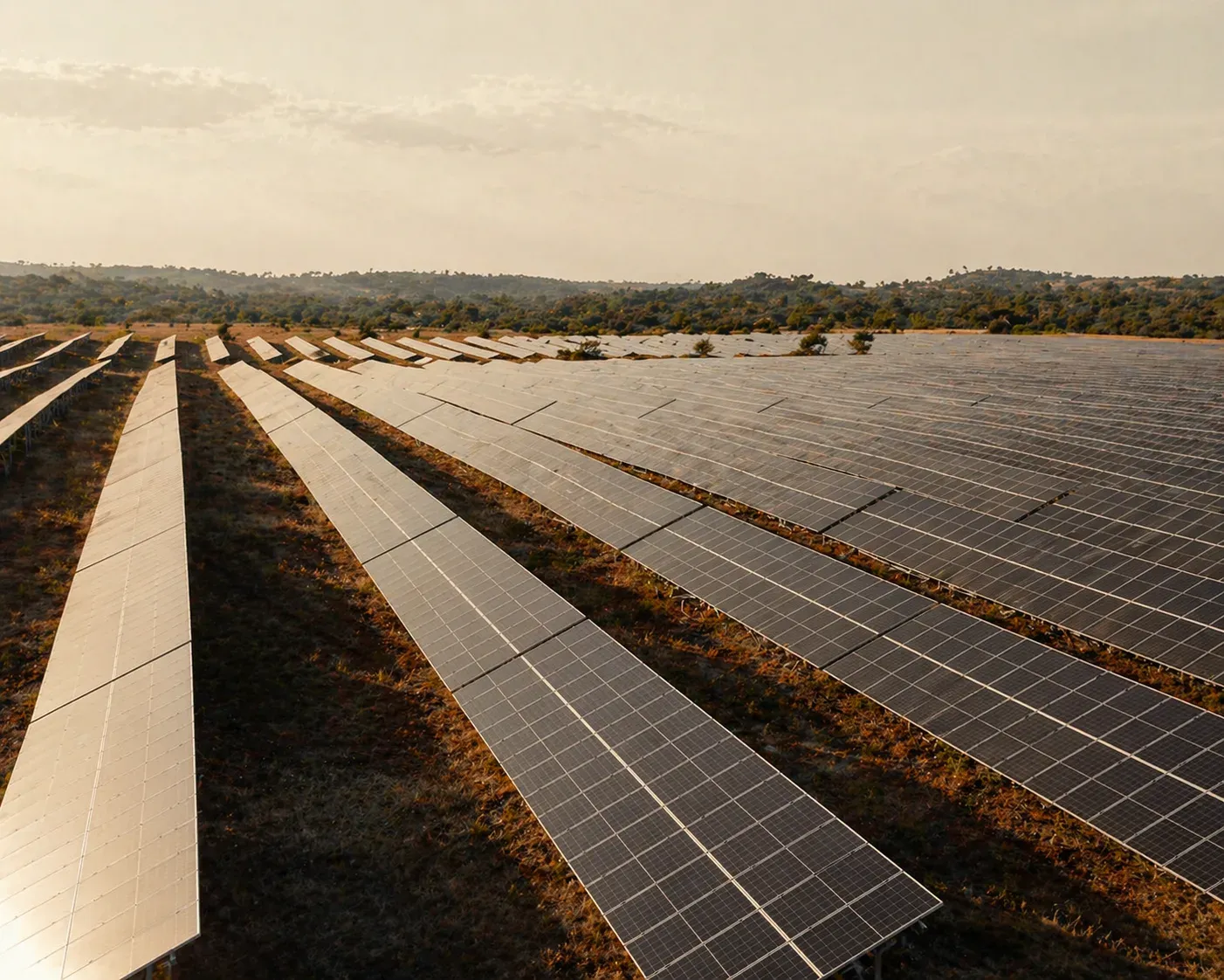 Utility-scale photovoltaic solar field at golden hour